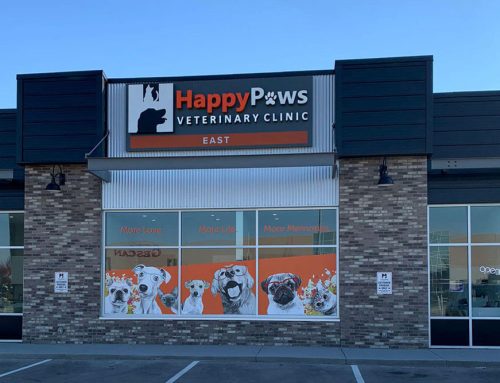 Coming Soon – Happy Paws to become Airdrie’s Largest Vet Wellness Clinic