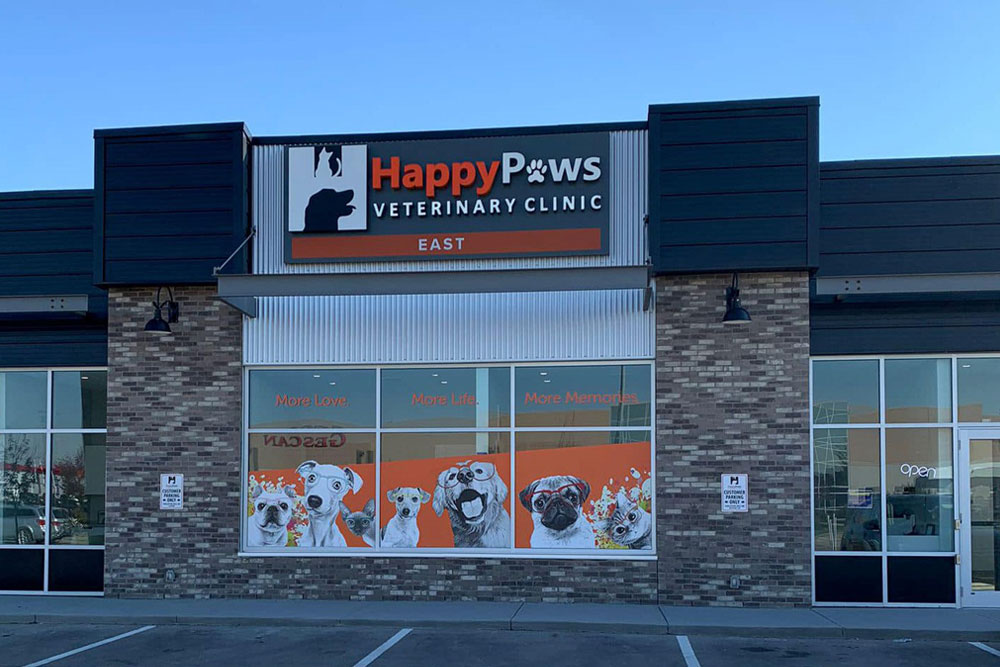 Happy Paws Veterinary Clinic, Author at Happy Paws Veterinary Clinic